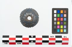 Foto von Glasaugenperle (NHMW-PRAE-026004)